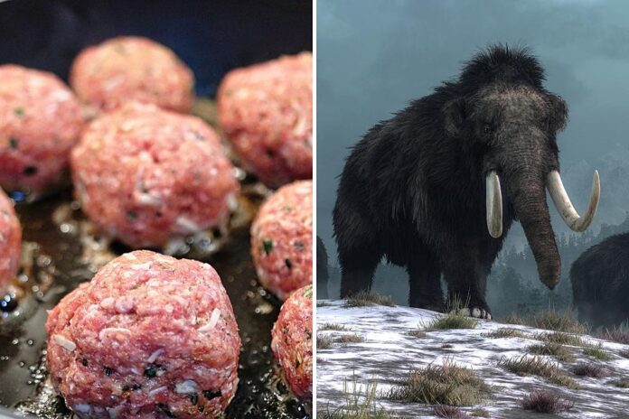 attachment-Woolly-Mammoth-Meatball