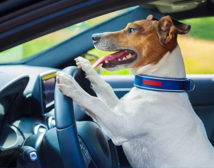 Zrzut ekranu 2023-05-17 140619