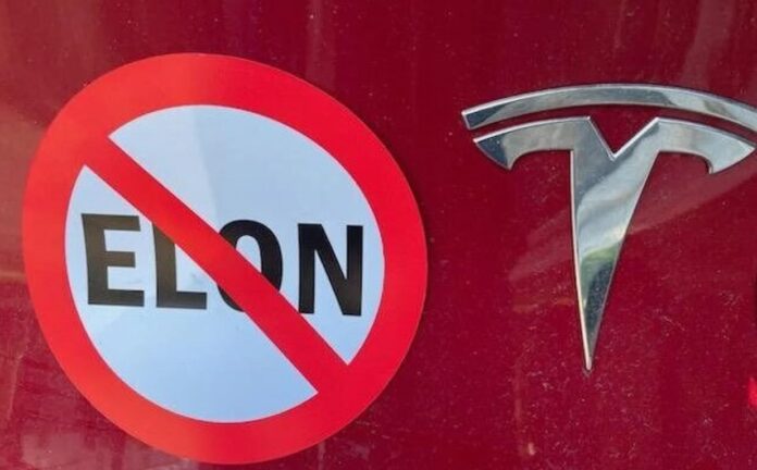 Elon-tesla.jpg